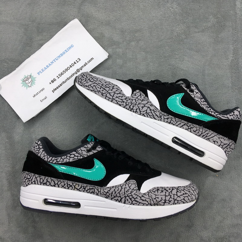 Authentic Air Jordan 3 x air max 1 “Atmos”